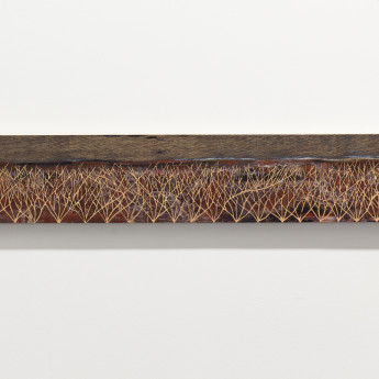 Monique Romeijn - Olieverf op houtsnede 15x175cm